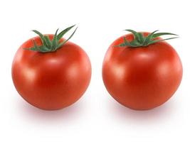 Tomato isolated on a withe background photo