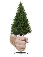 Hand holding Real Christmas tree on white background, Inspiration concept photo