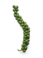 fresh green peppercorns with isolated on a white background photo