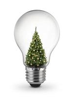 decorated Christmas tree inside of light bulb on White Background, Inspiration concept photo