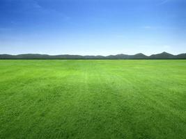 Background image of lush grass field under blue sky photo