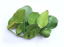 Kaffir lime leaf isolated on white background photo