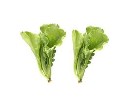 Fresh green Lettuce leaves, Salad leaf isolated on white background photo