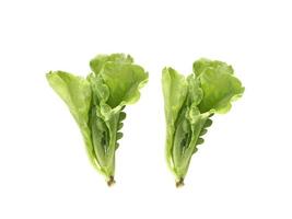 hojas de lechuga verde fresca, hojas de ensalada aisladas en fondo blanco foto