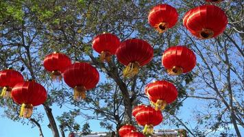 Traditional chinese red lantern display video