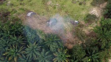 le tracteur pousse l'arbre sec pour brûler à ciel ouvert. video