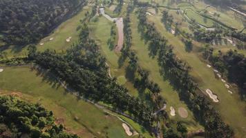 Aerial view beautiful scenery of golf with palm tree video