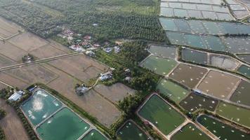 vista aérea de peces de acuicultura, granja camaronera video