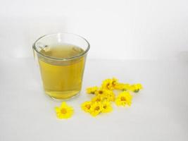 chrysanthemum Juice, Drink water Chrysanthemum indicum Scientific name Dendranthema morifolium, Flavonoids, in clear grass Closeup pollen of yellow flower photo