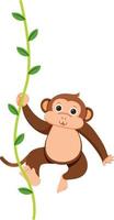 Monkey hanging on liana vector