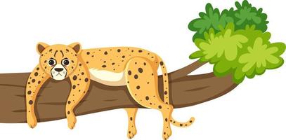 guepardo acostado en un árbol vector