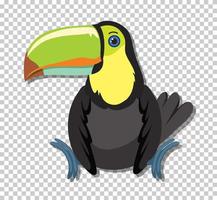 lindo pájaro tucán en estilo de dibujos animados plana vector