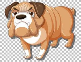 personaje de dibujos animados de bulldog en el fondo de la cuadrícula vector