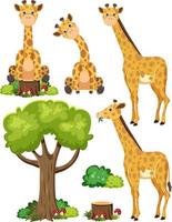 Wild animals set with nature elements vector