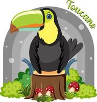 Toucan bird in cartoon style vector