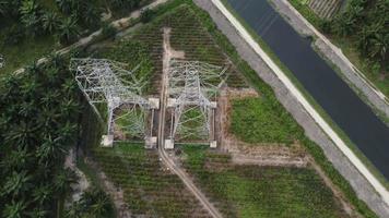 Electric pylon top down view near oil palm agriculture video