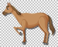 personaje de dibujos animados de caballo marrón vector