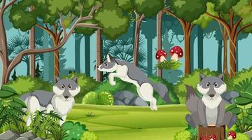 Wolfs group in the forest scene vector