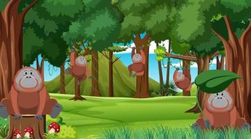 Orangutans in the forest scene vector