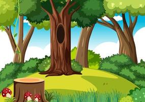 Nature forest background template vector