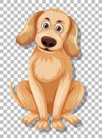 Cute dog on grid background vector