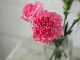 pink Carnation flower in a glass of water on marble table photo