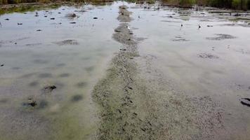 mover-se sobre a trilha de caminhada dos pássaros da garça na terra seca video