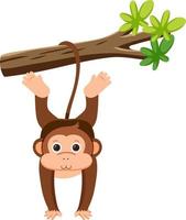 mono colgando de un árbol vector