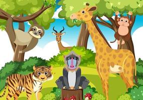 Cute wild animals in the forest vector