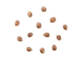 Medical cannabis sativa, Marijuana seeds isolated on white background. Top view photo