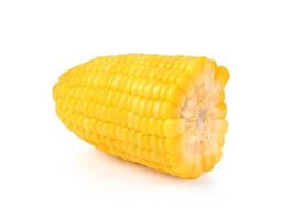 vainas de maíz hervidas aisladas sobre fondo blanco. foto