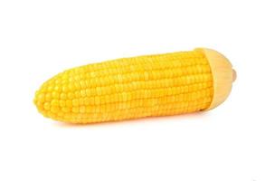 Sweet corn isolated on a white background. photo