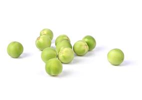 Turkey berry on isolated white background. photo