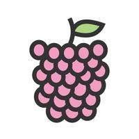 Raspberry Filled Line Icon vector