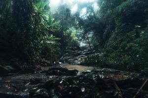 Waterfall in the tropical forest in the rainy season photo