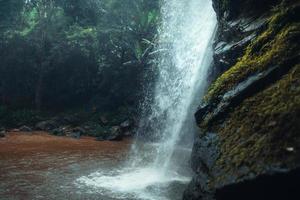 Waterfall in the tropical forest in the rainy season photo