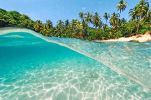 palma de la isla tropical y bajo el agua, buceando en el mar foto