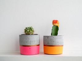 Colorful modern concrete planters with cactus plants. Painted concrete pots for home decoration photo