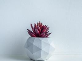 Concrete pot. Modern geometric concrete planter. photo