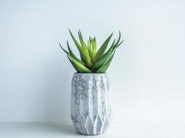 Concrete pot. Modern geometric concrete planter. photo