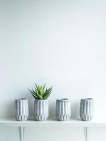 Concrete pot. Modern geometric concrete planter. photo