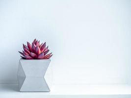 Concrete pot. Modern geometric concrete planter. photo