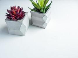 Concrete pot. Modern geometric concrete planter. photo