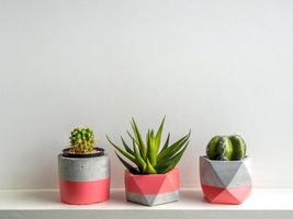 Modern geometric concrete planters. Beautiful painted concrete pots. photo