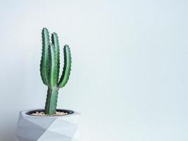 Cactus pot. Concrete pot. Modern geometric concrete planter. photo