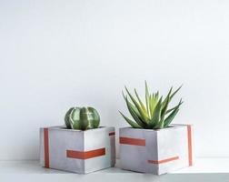 Cactus pot. Concrete pot. Modern geometric concrete planter. photo