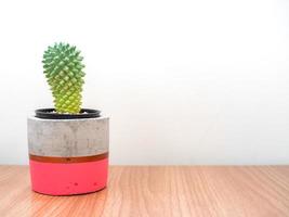 Colorful modern concrete planter with cactus plants. Painted concrete pot for home decoration photo