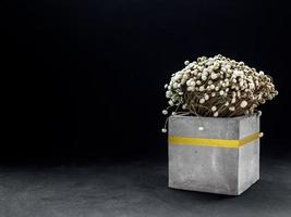 Modern cubic concrete planter with vintage flower. Painted concrete pot for home decoration photo