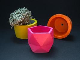 Beautiful various geometric concrete planters with dried flower. Colorful painted concrete pots for home decoration photo