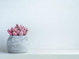 Concrete pot. Modern geometric concrete planter. photo